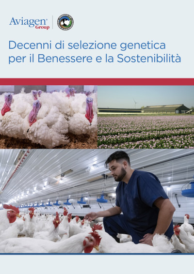 Decenni di Selezione Genetica per il Benessere e la Sostenibilità