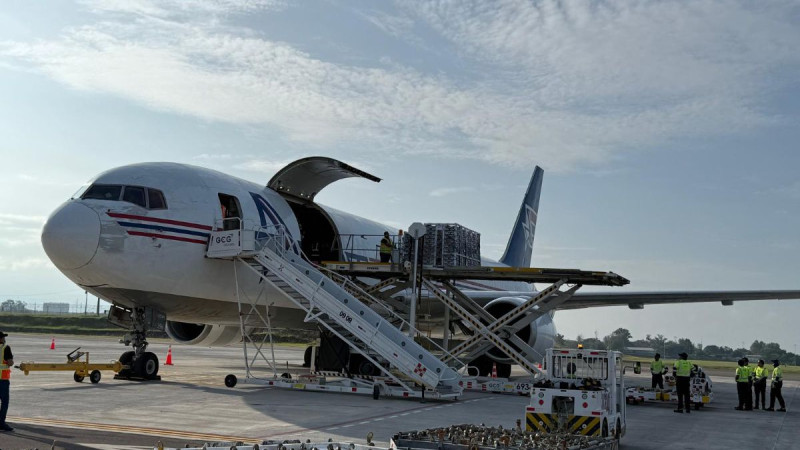 Nueva ruta de despacho de pollitos de Aviagen abre puertas para los productores avícolas hondureños