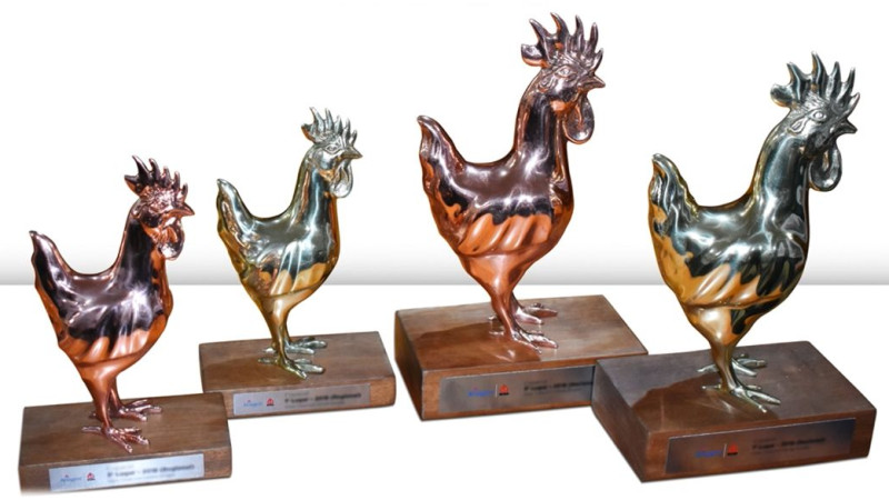 Nutrifrango, Grupo Alvorada e Ad’oro se destacam na 7ª edição nacional da Premiação de Matrizes 308 AP da Aviagen no Brasil