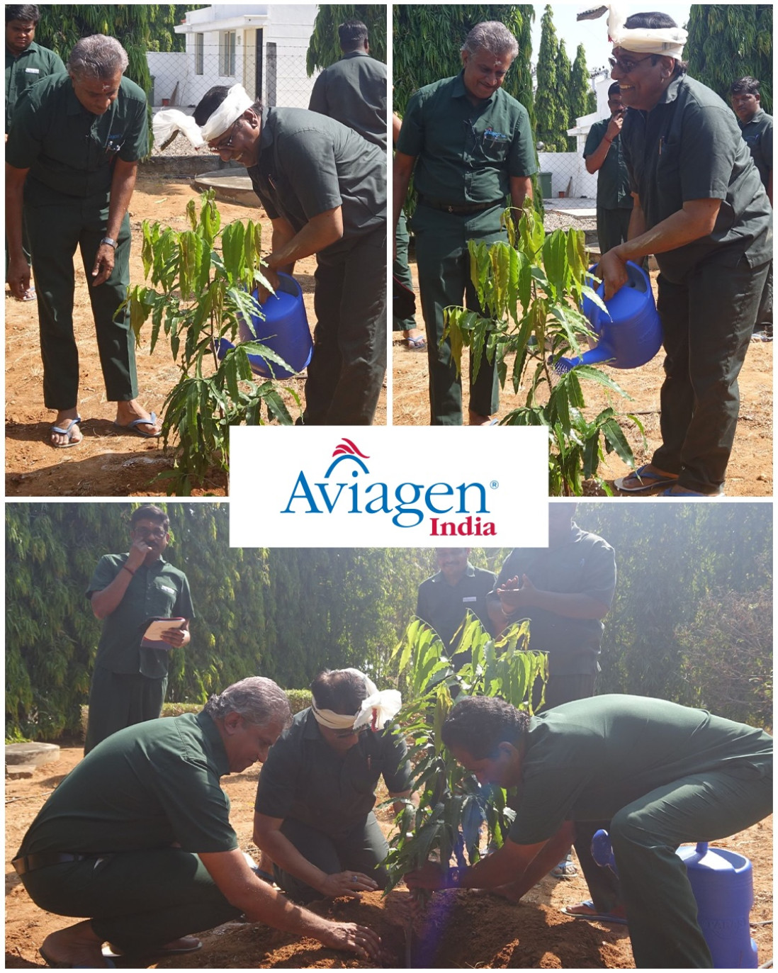 Dr. Ramakrishna and Dr. Jaiswal plant a tree sapling, representing sustainability