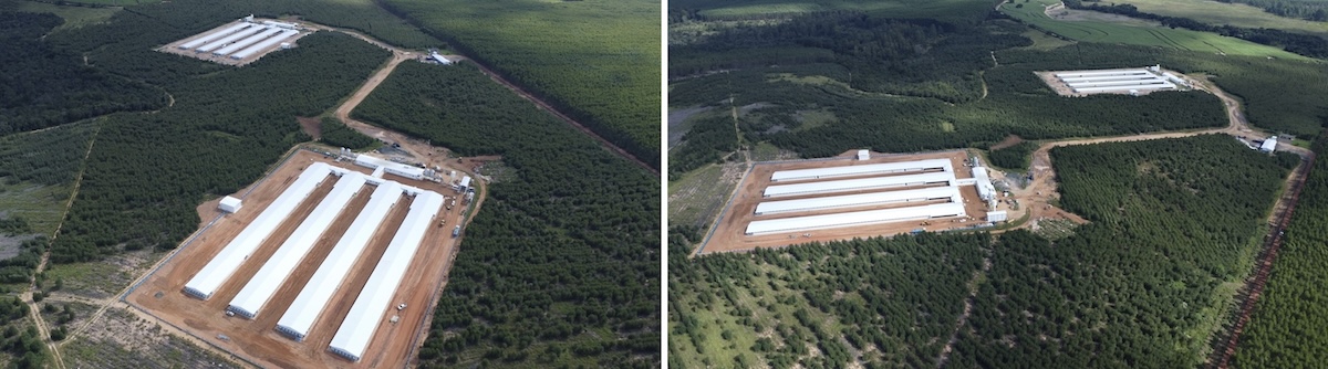 Aviagen is investing to acquire and updated the Baú GP farm in Itirapina, Brazil